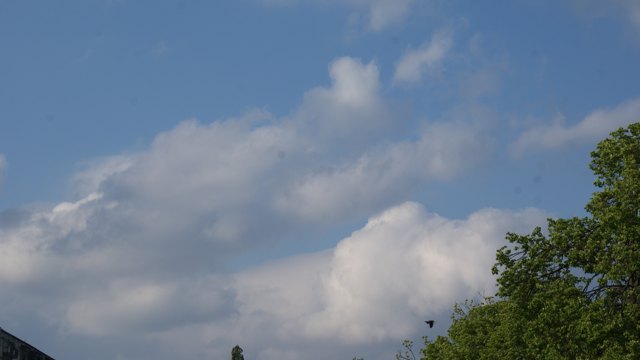 Rozbudowane chmury kłębiaste na pogodnym niebie